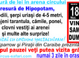 circul safari