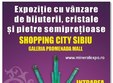 mineral expo sibiu cu o floare nu se face primavara cu un cristal da